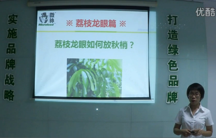 荔枝龍眼-采后樹弱、秋梢不壯怎么辦？請看微補(bǔ)講座