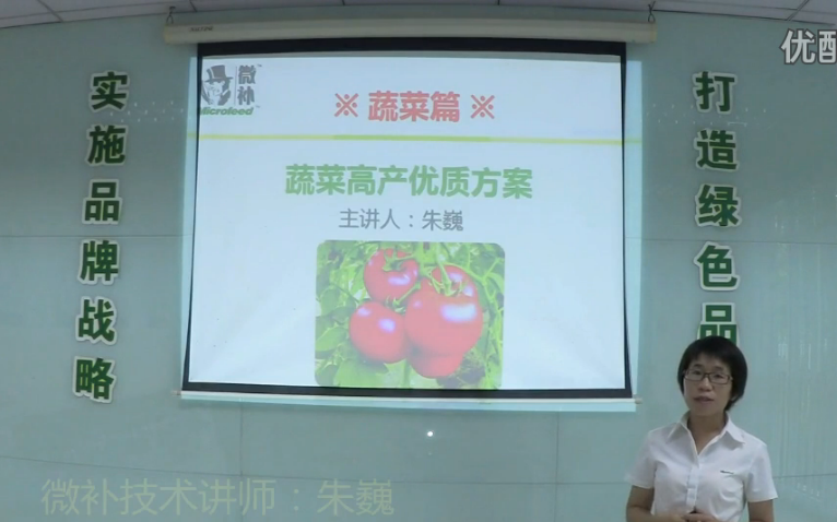 蔬菜-提苗壯長、提高坐果高產(chǎn)方案.微補(bǔ)講座