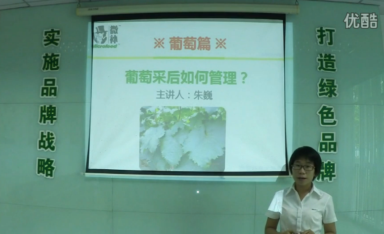 葡萄-采后恢復(fù)樹勢、來年花芽分化好.微補(bǔ)講座