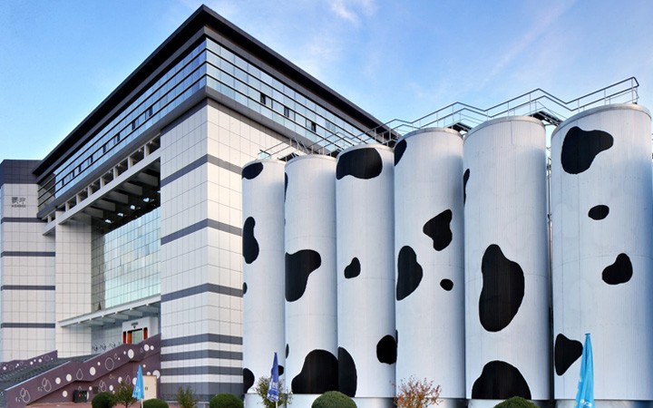 從單一申請到復(fù)合業(yè)務(wù)委托，三聚陽光贏得蒙牛好評